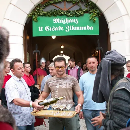 Penzion U Císaře Zikmunda 3*
